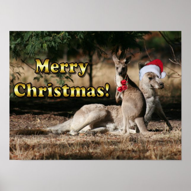 Aussie Style Christmas Kangaroos Poster (Vorne)