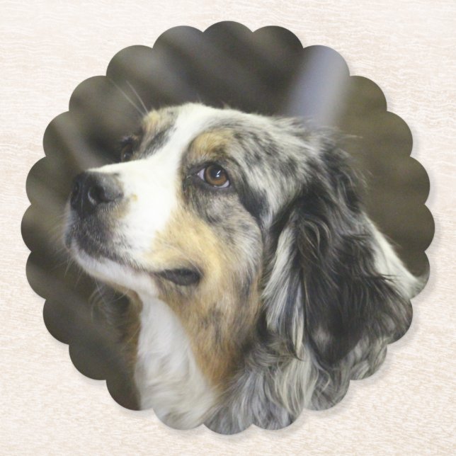 Aussie Untersetzer (Vorderseite)