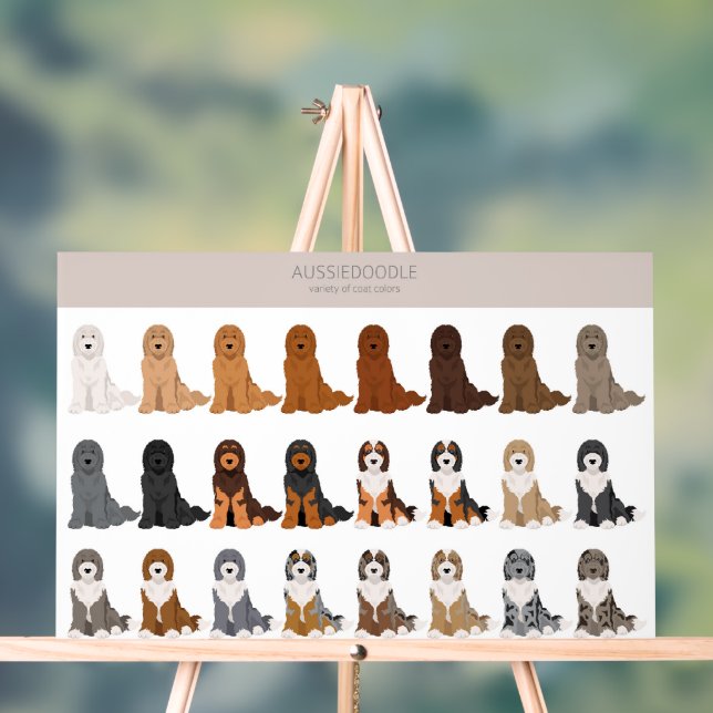 Aussiedoodle-Hundemischung Acrylschild (Neutral)