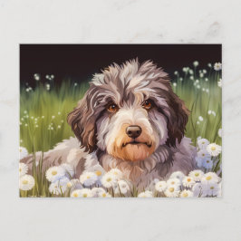 Aussiedoodle mit Gänseblümchen Postkarte