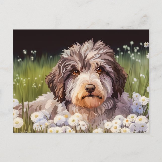 Aussiedoodle mit Gänseblümchen Postkarte (Vorderseite)