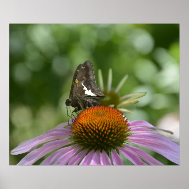 AUSSTELLUNG VON POSTER (Vorne)