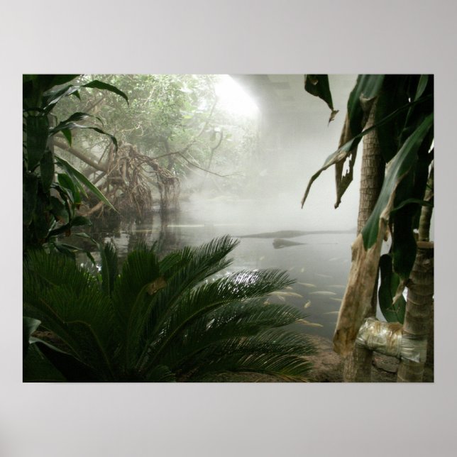 Ausstellung Zoo Rainforest Poster (Vorne)