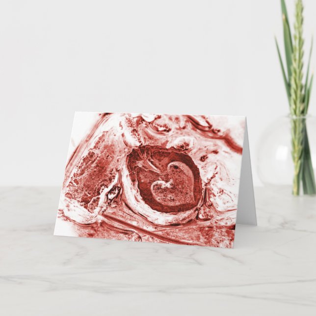 aussterbend feiertagskarte (Vorderseite)