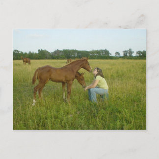 Austauschen von Spirituosen-Postkarte Postkarte