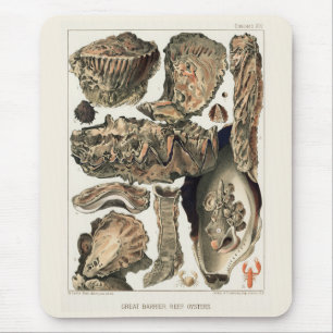 Austern des Great Barrier Reef von Australien Vint Mousepad
