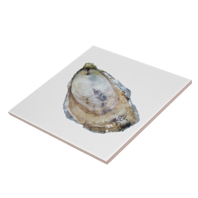 Austern-Fliese - entwerfen Sie ein Weiß Fliese (Seite)