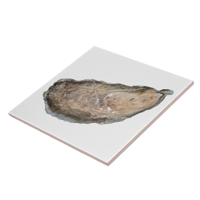 Austern-Fliese - Weiß des Entwurfs-D Fliese (Seite)