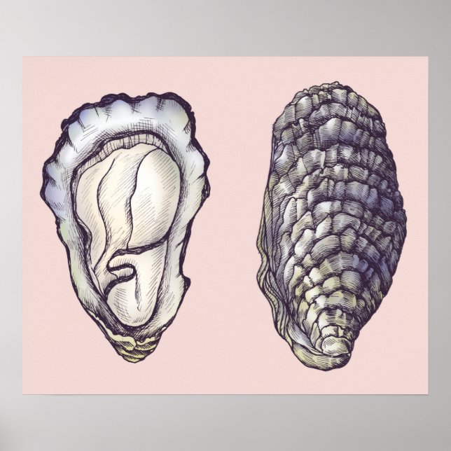 Austern Poster (Vorne)