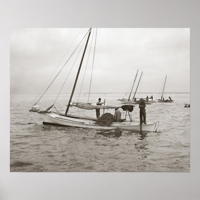 Austernboote, 1903. Vintages Foto Poster (Vorne)