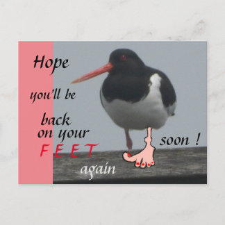 Austernfischer Gute Besserung Humor Postkarte