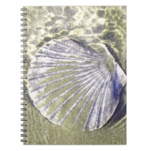 Austernunterwasser-Muschel