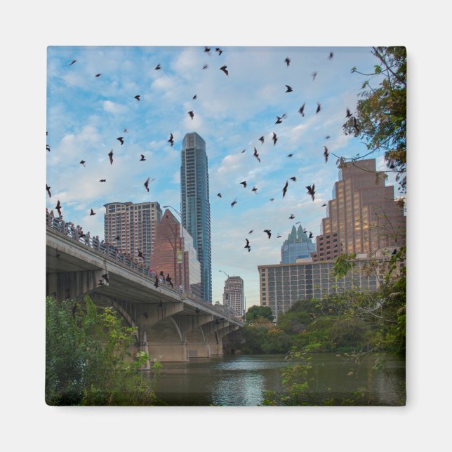 Austin BATS Downtown Magnet (Vorne)