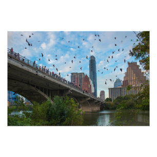 Austin, Texas Bats Fotodruck