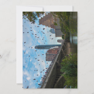 Austin Texas Bats Karte