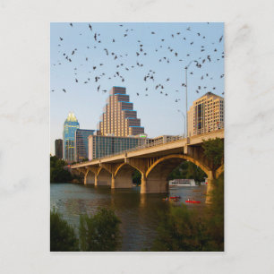 Austin, Texas Congress Bridge Bats Postkarte