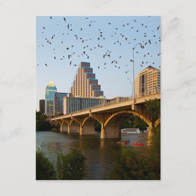 Austin, Texas Congress Bridge Bats Postkarte (Vorderseite)