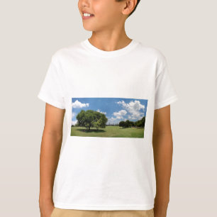 Austin Texas Downtown Skyline von Zilker Park T-Shirt