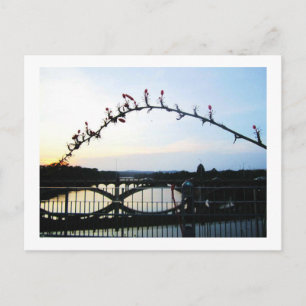 Austin Texas Postkarte