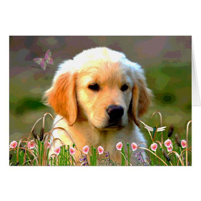 Austin The Golden Labrador (Vorderseite (Horizontal))