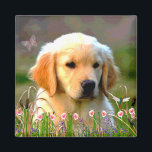 Austin The Golden Labrador Magnet<br><div class="desc">Dieser bezaubernde kleine Typ ist jeder Lieblings-Labrador-Welpe mit seinem goldenen,  weichen Fell und süßen Ausdruck. Er sitzt auf einem Feld aus rosa Island-Pupien. Er wird von seinem Menschen,  Michio,  und allen,  die ihn treffen,  sehr geliebt.</div>