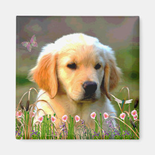 Austin The Golden Labrador Magnet