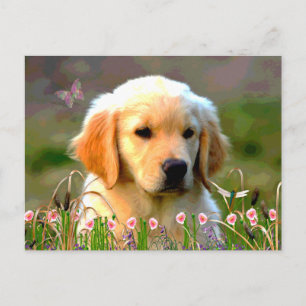 Austin The Golden Labrador Postkarte