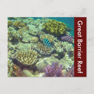 Austra Postkarte