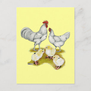 Austra White Family Postkarte