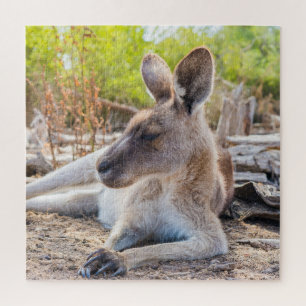 Austrailian KangarooStillstand Puzzle