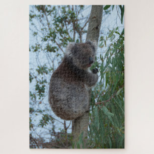 Australia Kangaroo Island Koala Tree, 1014 pieces Puzzle