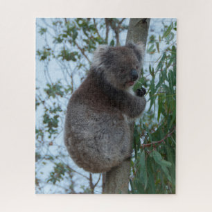 Australia Kangaroo Island Koala Tree, 520 pieces Puzzle