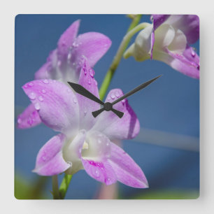 Australia, Northern Territory, Darwin Quadratische Wanduhr