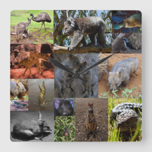 Australian Animals Photo Collage, Wall Clock Quadratische Wanduhr