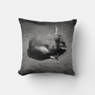 Australian Bilby, bekannt als The Aussie Easter Bu Kissen