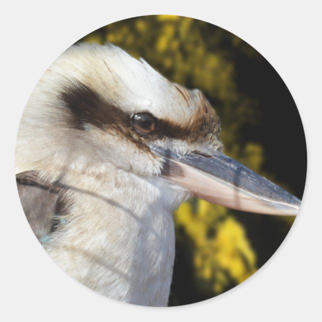 Australian Blue Winged Kookaburra, Runder Aufkleber (Vorderseite)