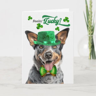 Australian-Cattle-Dog Glücklicher St. Patrick's Da Feiertagskarte