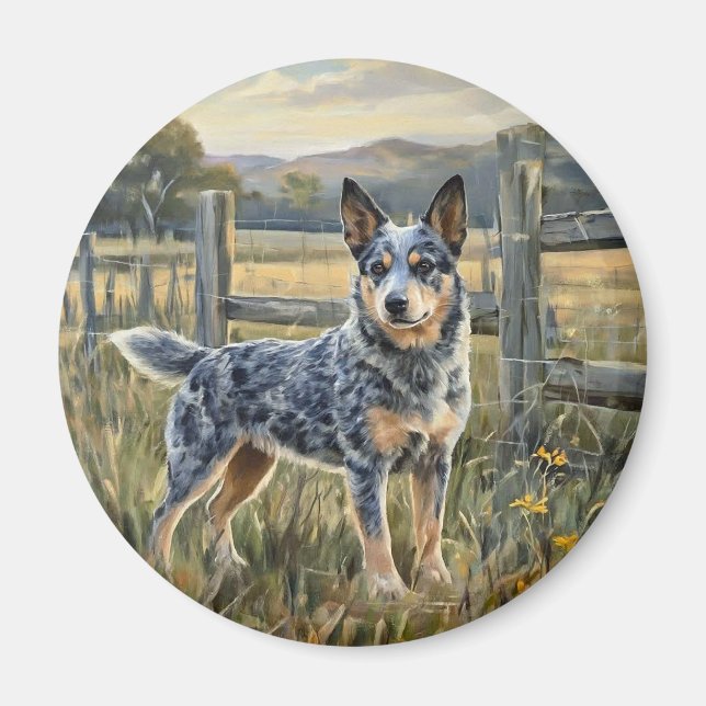 Australian Cattle Dog Magnet (Vorne)