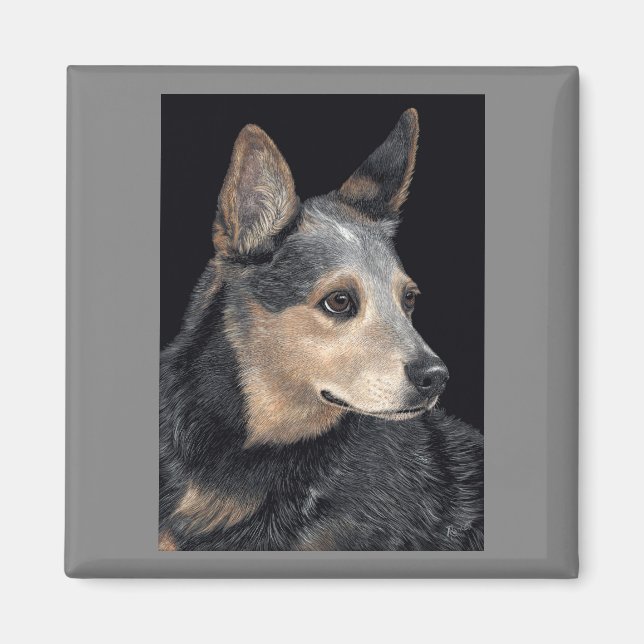 Australian Cattle Dog Magnet - "Quigley" (Vorne)
