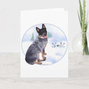 Australian Cattle Dog Noel Feiertagskarte