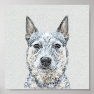 Australian Cattle Dog Painting - Niedliche Origina Poster