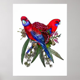 Australian Crimson Rosella und Wildblume Bouquet Poster