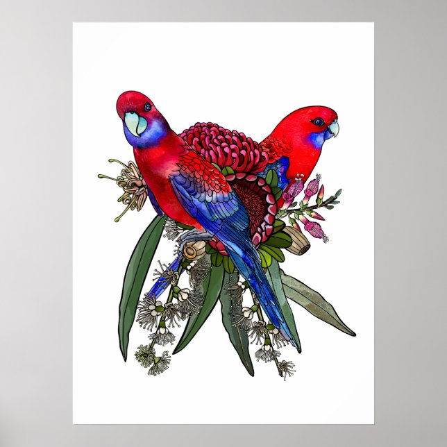 Australian Crimson Rosella und Wildblume Bouquet Poster (Vorne)
