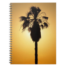 Australian Fan Palm Silhouette Notebook Notizblock