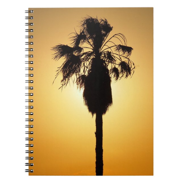 Australian Fan Palm Silhouette Notebook Notizblock (Vorderseite)