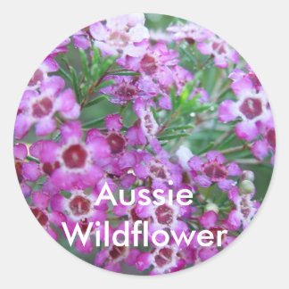 Australian Geralton Wax Runder Aufkleber