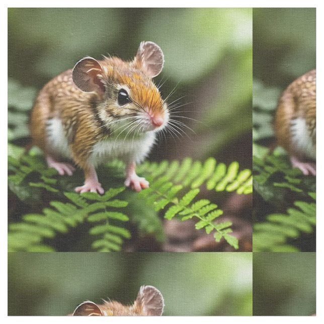 Australian Hopping Mouse, Fabric Stoff (Nahaufnahme)