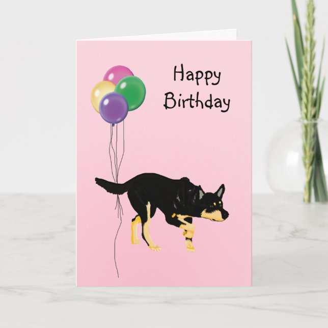Australian Kelpie, Birthday Balloons Karte (Vorderseite)