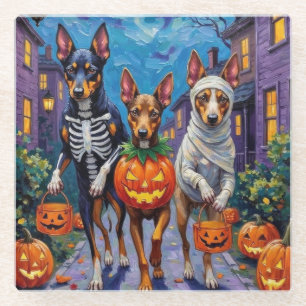 Australian Kelpie Trick-or-Treating Halloween Glasuntersetzer