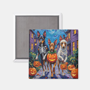 Australian Kelpie Trick-or-Treating Halloween Magnet